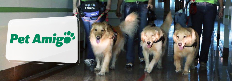 Imagem com logo da campanha escrito "PET AMIGO" imagem composta de 3 cachorros seguido dos seus cuidadosres