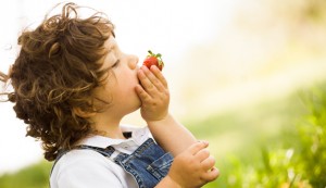 Menino comendo morango.