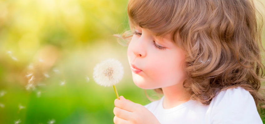 Criança assoprando flor, para ilustrar que o contágio da gripe ou Influenza h1n1 pode ser pelo ar