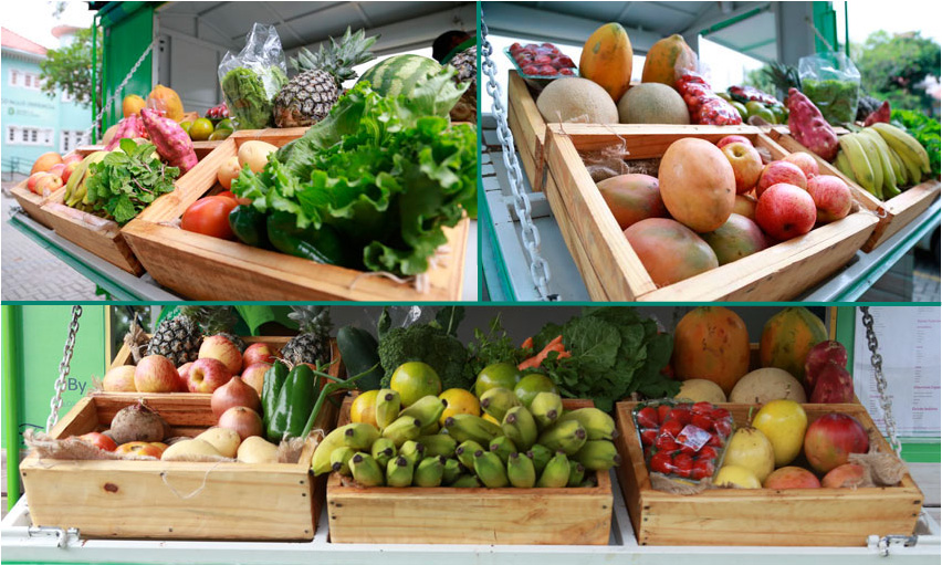 Montagem com frutas, verduras e legumes do Hortifruti Unimed