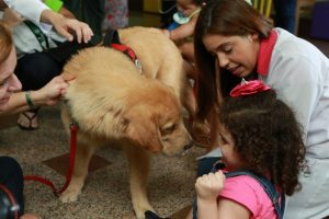 Criança brincando com um dos cachorros do projeto Pet Amigo