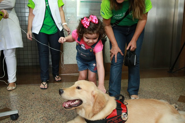 Criança colocando a mão em um cachorro da raça Labrador