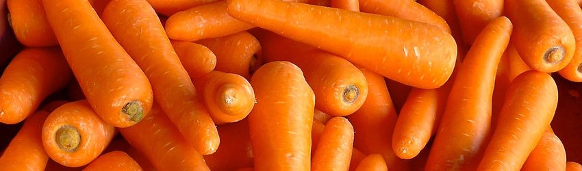 cenoura-alimentos-diureticos