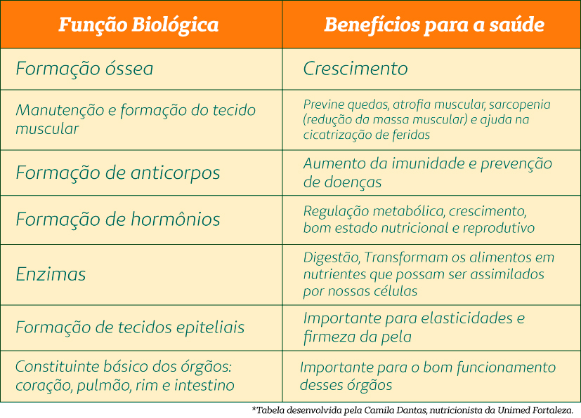 Tabela com benefcios dos alimentos construtores