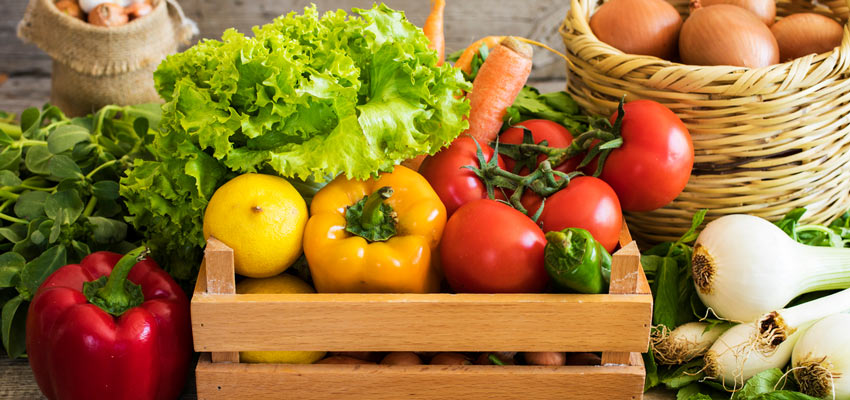 Cesta com diversas verduras e legumes, que pessoas com intolerncia  lactose podem consumir tranquilamente