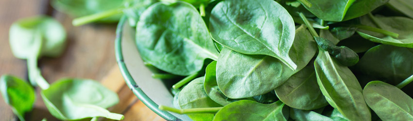 Vrias folhas de espinafre em um recipiente, um exemplo de comida saudvel que exemplifica que no  caro ser saudvel