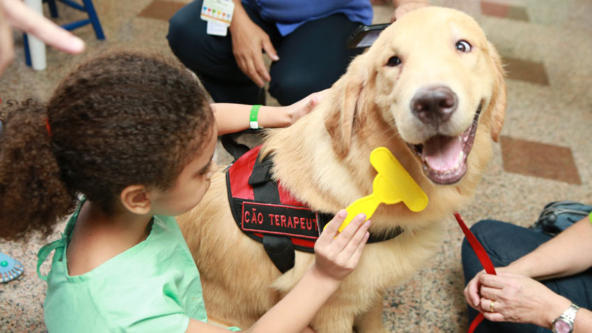 Dia das crianas: muita alegria para os pequenos pacientes com uma visita especial de ces