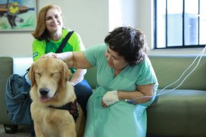 Senhora fazendo carinho no cachorro 