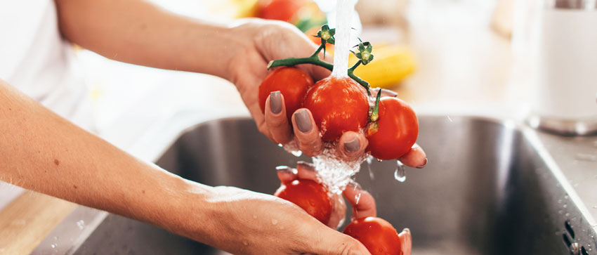 Mos lavando tomates em gua corrente: uma das formas de evitar a virose da mosca