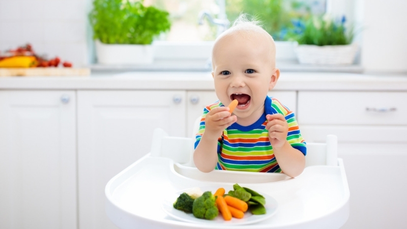 Beb sentado em uma cadeirinha enquanto leva os alimentos at a boca como no mtodo blw