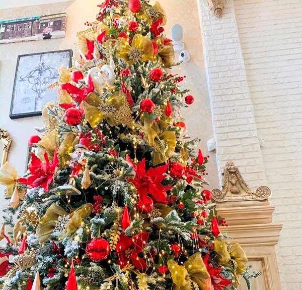 O Natal chegou... e o Roda de Vida comemorou!