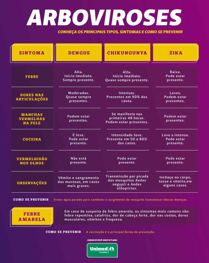 Infogrfico dos principais sintomas das arboviroses